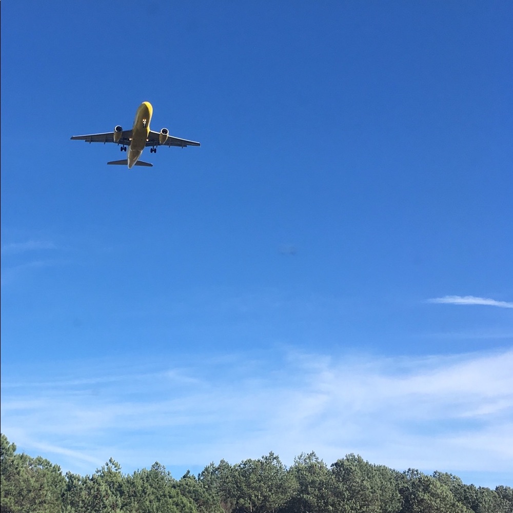 Fill CART & GET 3 or more items! Shipping is Free! 💥 - Picture 13 of 14